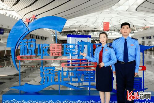 河北省稅務(wù)局實施人才 科技 雙輪驅(qū)動 推進(jìn)稅收征管改革落地