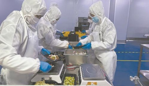 掘金藍海,閩臺攜手 預制 未來